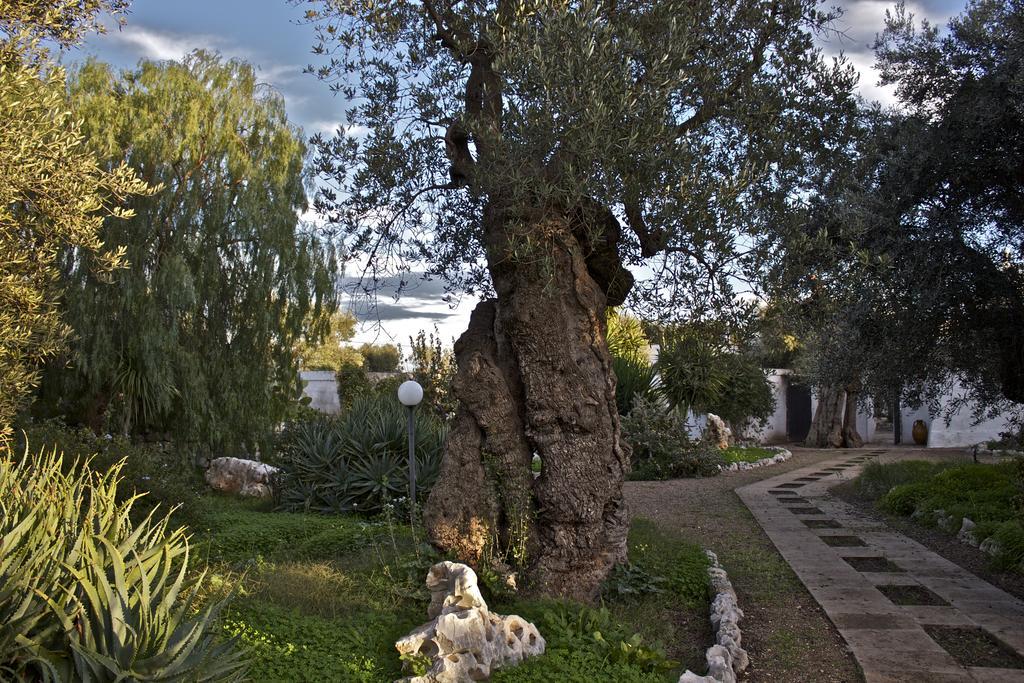 Masseria Vagone Macchia di Monte Exteriör bild